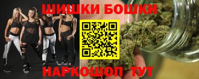 индика Бийск