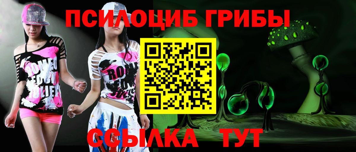 Карпинск  Псилоцибиновые грибы Cubensis  Вход с VPN 